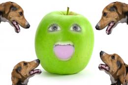 NotanAppleDay